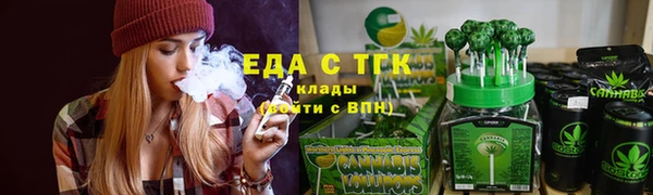 гашик Богородск