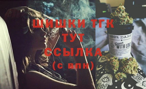 гашик Богородск