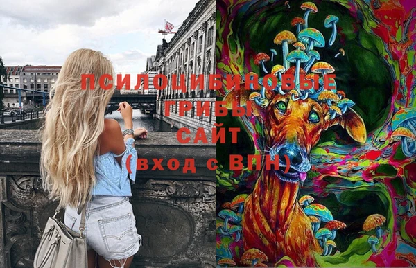 кокаин Богородицк
