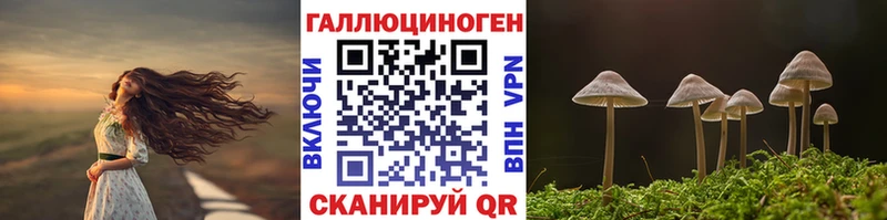 купить Обь Псилоцибиновые грибы Cubensis